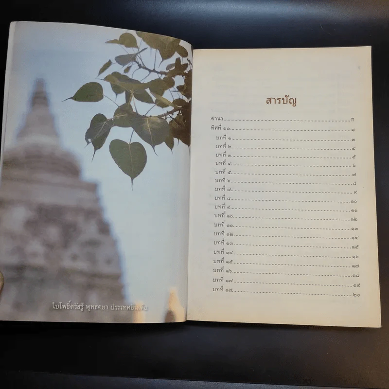 ทิศที่ 11 - หลวงพ่อชุมพล พลปญฺโญ รูปที่ 10