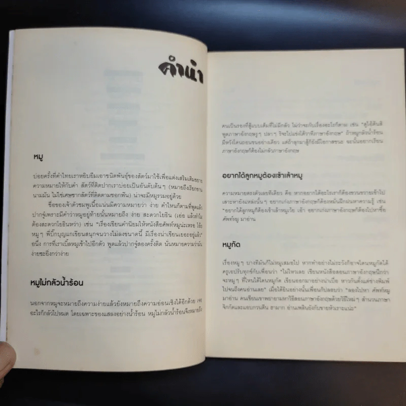 ศัพท์หมู - ภูมิชาย บุญสินสุข รูปที่ 10