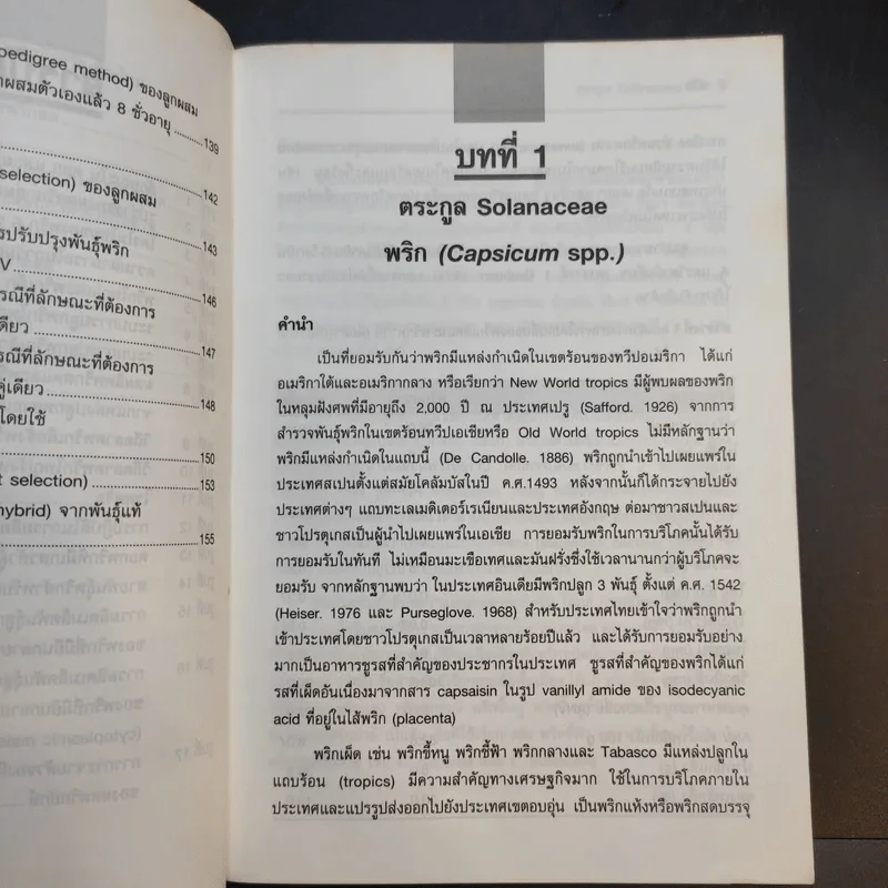 พริก - รองศาสตราจารย์ ดร.มณีฉัตร นิกรพันธุ์ รูปที่ 15