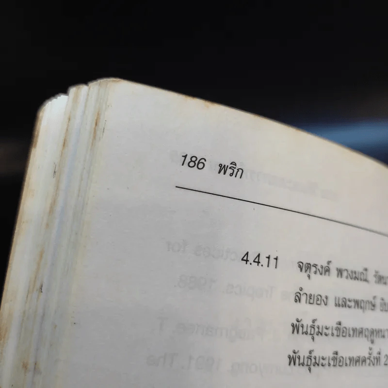 พริก - รองศาสตราจารย์ ดร.มณีฉัตร นิกรพันธุ์ รูปที่ 16