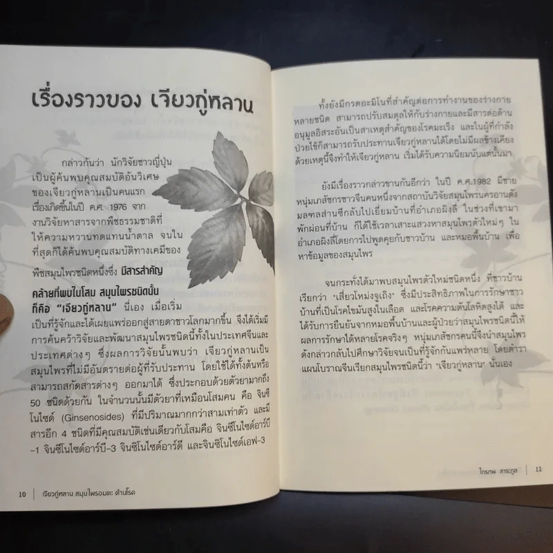 ปัญจขันธ์ เจียวกู่หลาน สมุนไพรอมตะ ต้านมะเร็ง - ไกรภพ สาระกูล รูปที่ 11
