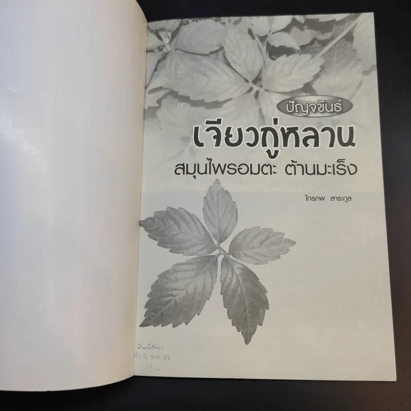 ปัญจขันธ์ เจียวกู่หลาน สมุนไพรอมตะ ต้านมะเร็ง - ไกรภพ สาระกูล รูปที่ 8