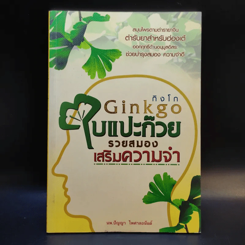 Ginkgo กิงโก ใบแปะก๊วย รวยสมอง เสริมความจำ - นพ.ปัญญา ไพศาลอนันต์ รูปที่ 1