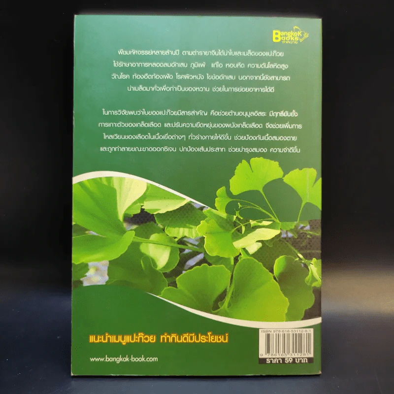 Ginkgo กิงโก ใบแปะก๊วย รวยสมอง เสริมความจำ - นพ.ปัญญา ไพศาลอนันต์ รูปที่ 2