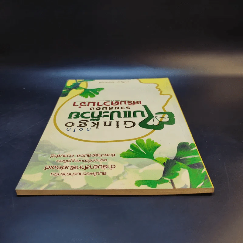 Ginkgo กิงโก ใบแปะก๊วย รวยสมอง เสริมความจำ - นพ.ปัญญา ไพศาลอนันต์ รูปที่ 6