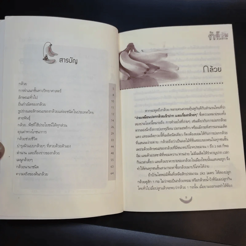 กิน กล้วย ช่วยชีวิต - นพ.ปัญญา ไพศาลอนันต์ รูปที่ 10