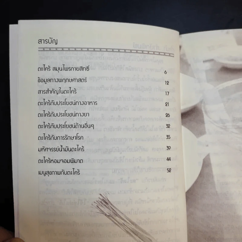 ตะไคร้ สมุนไพรกายสิทธิ์ พิชิต 108 โรค - นพ.ปัญญา ไพศาลอนันต์ รูปที่ 10