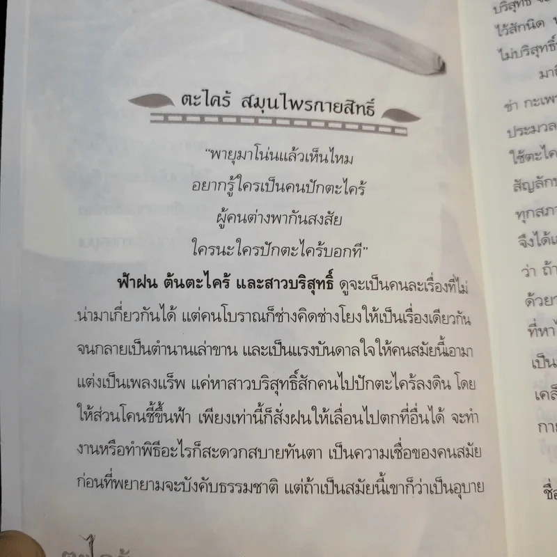 ตะไคร้ สมุนไพรกายสิทธิ์ พิชิต 108 โรค - นพ.ปัญญา ไพศาลอนันต์ รูปที่ 11