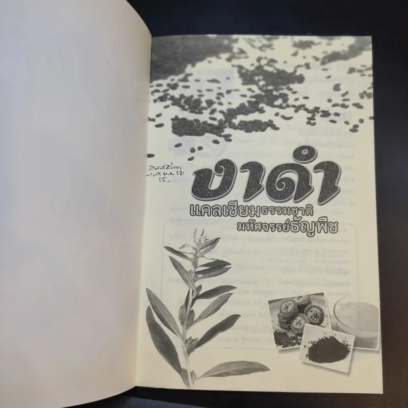 งาดำ แคลเซียมธรรมชาติ มหัศจรรย์ธัญพืช - ปัญญา ไพศาลอนันต์ รูปที่ 8