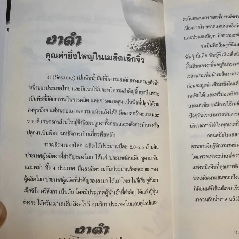งาดำ แคลเซียมธรรมชาติ มหัศจรรย์ธัญพืช - ปัญญา ไพศาลอนันต์ รูปที่ 11