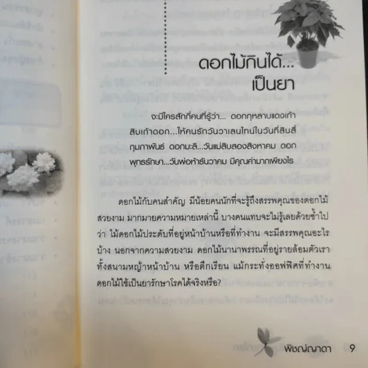 สีสันรักษาโรค - พิชญ์ญาดา รูปที่ 12