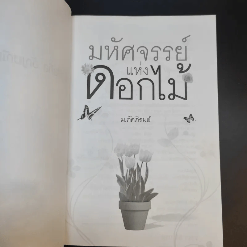 มหัศจรรย์แห่งดอกไม้ - ม.ภัคภิรมย์ รูปที่ 8