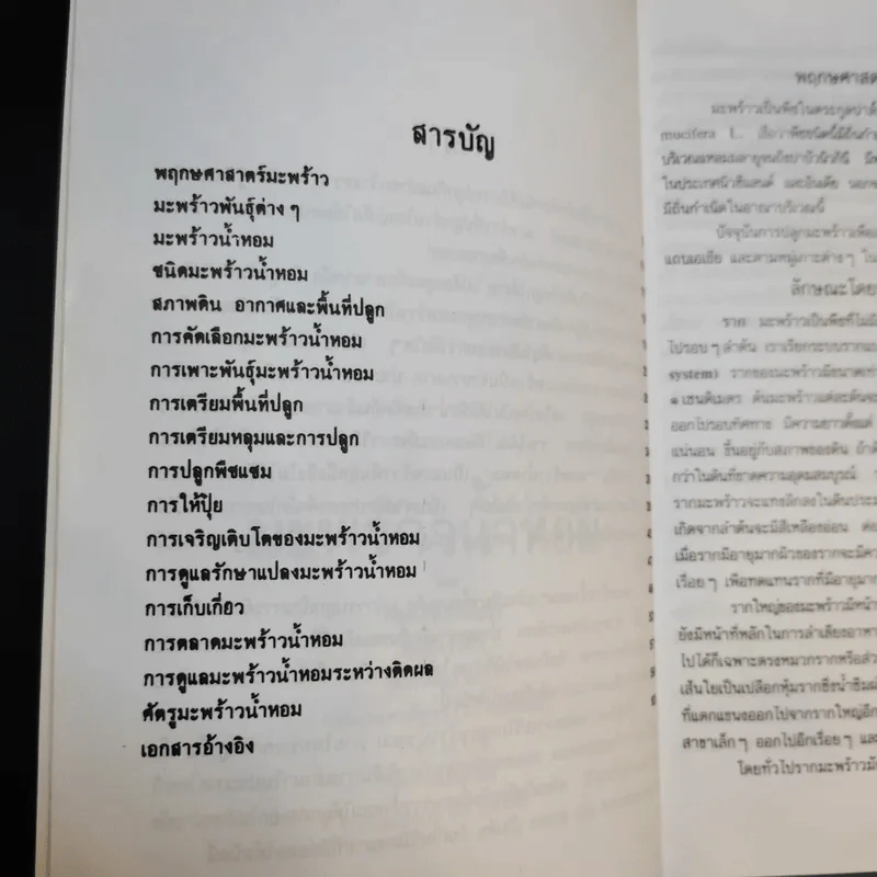 มะพร้าวน้ำหอม - กลุ่มเกษตรสัญจร รูปที่ 10