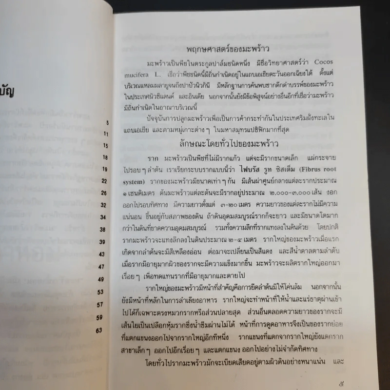 มะพร้าวน้ำหอม - กลุ่มเกษตรสัญจร รูปที่ 11