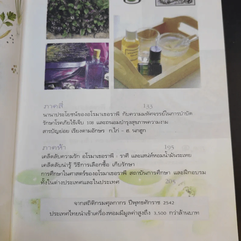 อโรมาเธอราพี Aromatherapy ศาสตร์และศิลป์ของกลิ่นหอมธรรมชาติ (เครื่องหอม) - Freeya M. รูปที่ 13