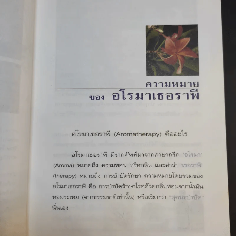 อโรมาเธอราพี Aromatherapy ศาสตร์และศิลป์ของกลิ่นหอมธรรมชาติ (เครื่องหอม) - Freeya M. รูปที่ 14