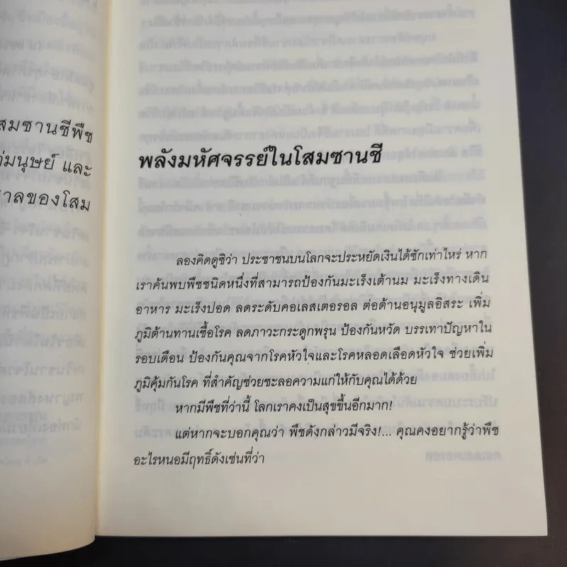ไขปริศนา ซานซี - รัตนา ไชยบูล รูปที่ 12
