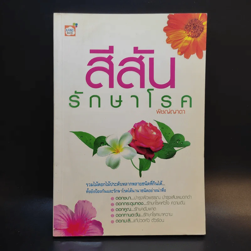 สีสันรักษาโรค - พิชญ์ญาดา รูปที่ 1