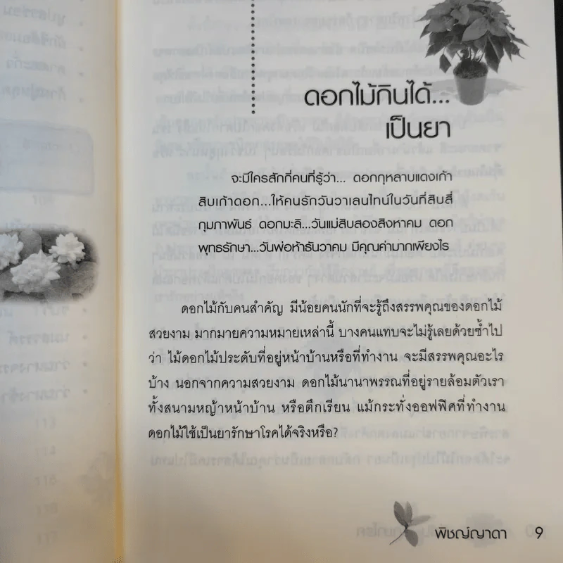 สีสันรักษาโรค - พิชญ์ญาดา รูปที่ 12