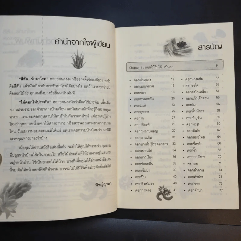 สีสันรักษาโรค - พิชญ์ญาดา รูปที่ 10