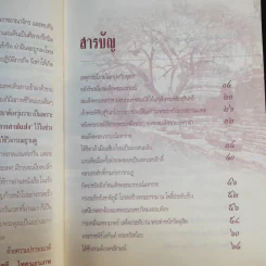 แผ่นดินต้องคำสาปจากสมเด็จพระเจ้าเสือ ถึงแผ่นดินพระเจ้าบรมโกศ - เกริกฤทธี ไทคูนธนภพ รูปที่ 12