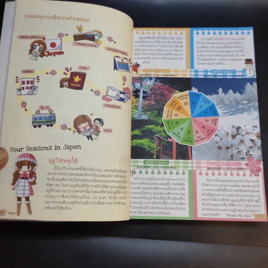Japan ญี่ปุ่น คนเดียวก็เที่ยวได้ รูปที่ 21