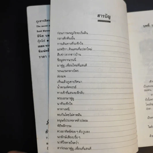 ภูเขาปริศนา - กุ๊กไก่ รูปที่ 9