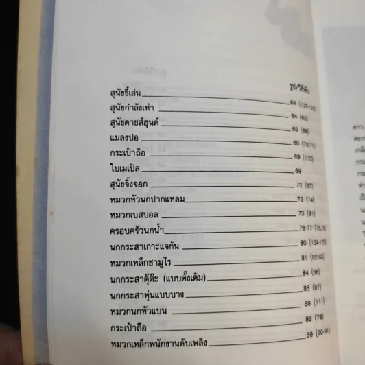 พับของสวยๆด้วยกระดาษ รูปที่ 14