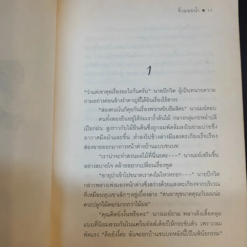 จิ๋วลอยน้ำ - แมรี่ นอร์ตั้น รูปที่ 12
