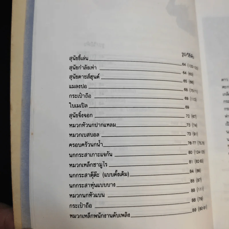 พับของสวยๆด้วยกระดาษ รูปที่ 14