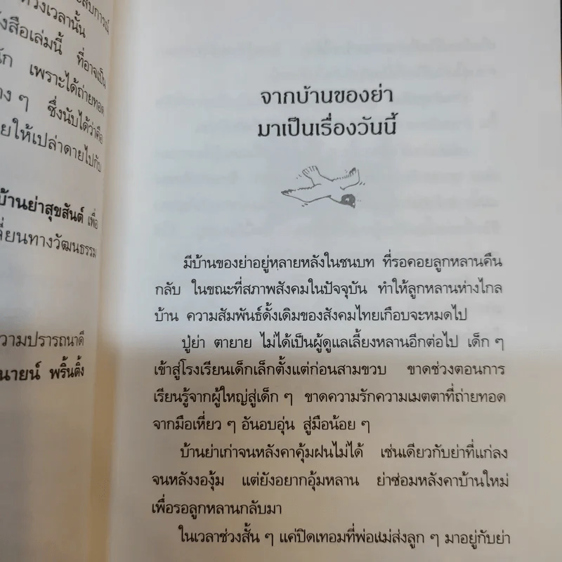 บ้านย่าสุขสันต์ - แพร จารุ รูปที่ 10