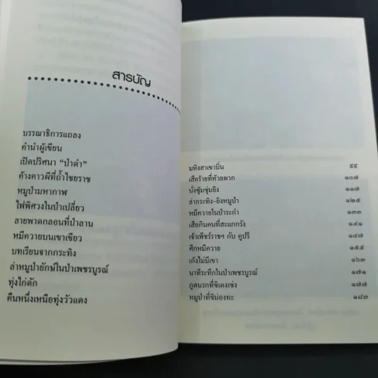 อาถรรพณ์ในดงดิบ - ชาลี เอี่ยมกระสินธุ์ รูปที่ 13