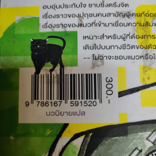 Neko Taxi แท็กซี่มีแมว - ยูจิ นากาโมริ รูปที่ 14