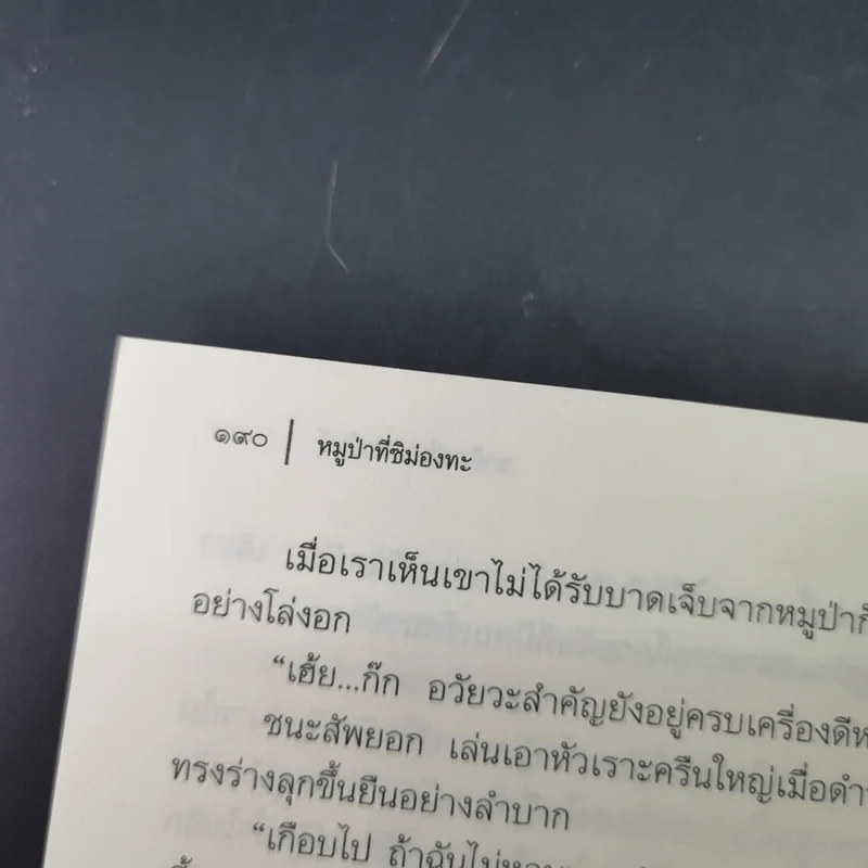 อาถรรพณ์ในดงดิบ - ชาลี เอี่ยมกระสินธุ์ รูปที่ 17