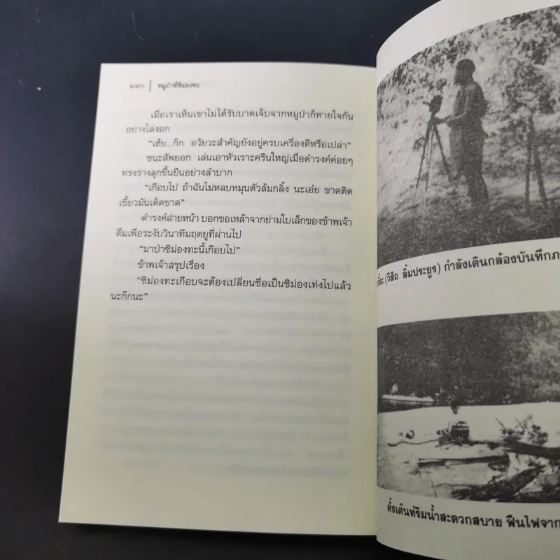 อาถรรพณ์ในดงดิบ - ชาลี เอี่ยมกระสินธุ์ รูปที่ 16