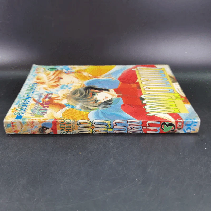 มงกุฏมาดอนน่า เล่ม 3 (เล่มจบ) - อ.ไซโต้ จิโฮ รูปที่ 3