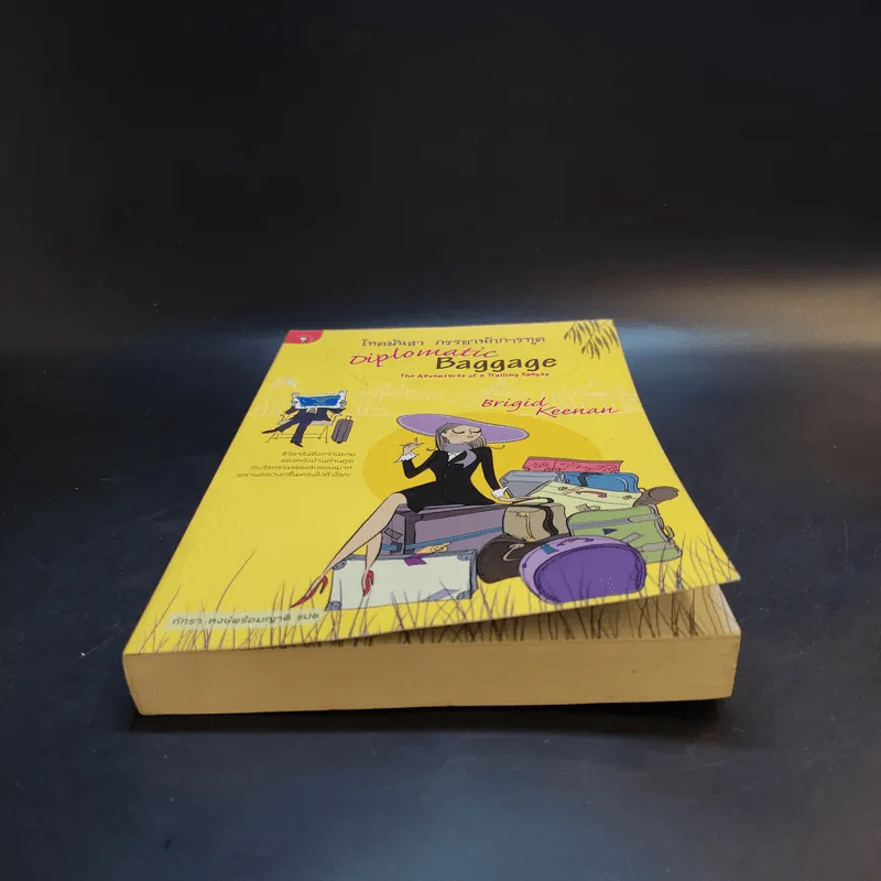 โหดมันฮา ภรรยานักการทูต : Diplomatic Baggage - Brigid Keenan (บริจิด คีแนน) รูปที่ 4