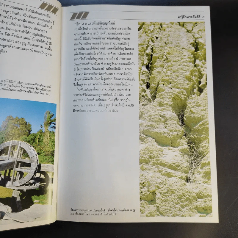 คู่มือพระคัมภีร์ ฉบับสมบูรณ์ Handbook to the Bible รูปที่ 19