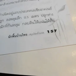ผักพื้นบ้านไทย สมุนไพรต้านโรค - ชิดชนก รูปที่ 13