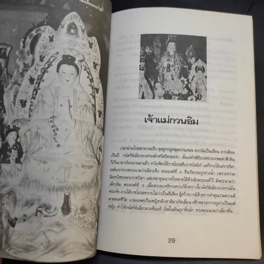 กำเนิดและอภินิหาร เจ้าแม่กวนอิม ฉบับเทพประทานพร รูปที่ 13