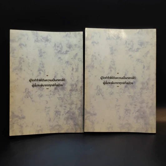 ประมวลแนวปฏิบัติธรรม พระราชนิโรธรังสี (เทสก์ เทสรังสี) เล่ม 1-2 รูปที่ 14