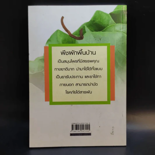 ผักพื้นบ้านไทย สมุนไพรต้านโรค - ชิดชนก รูปที่ 2
