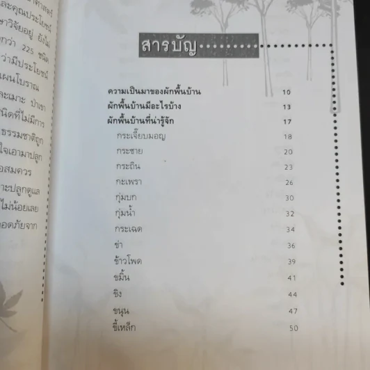 ผักพื้นบ้านไทย สมุนไพรต้านโรค - ชิดชนก รูปที่ 9