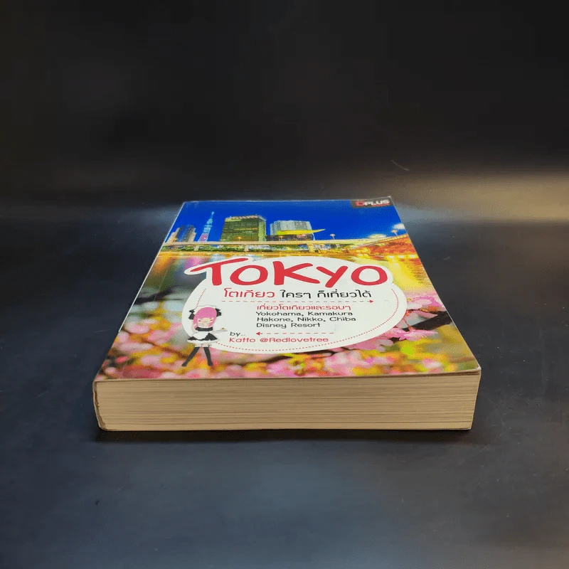 Tokyo โตเกียวใครๆก็เที่ยวได้ - Katto รูปที่ 4