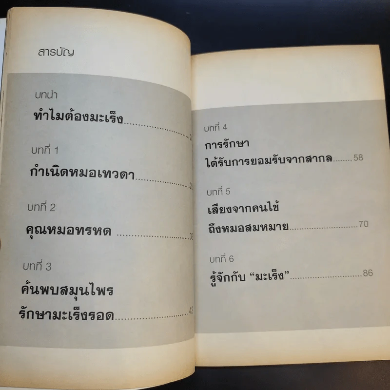 หมอเทวดา ผู้รักษามะเร็งรอด - นายแพทย์สมหมาย ทองประเสริฐ รูปที่ 13