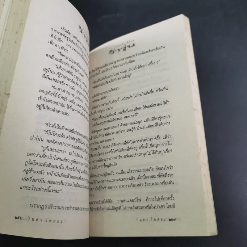 ว้าวุ่น - ปินดา โพสยะ รูปที่ 15