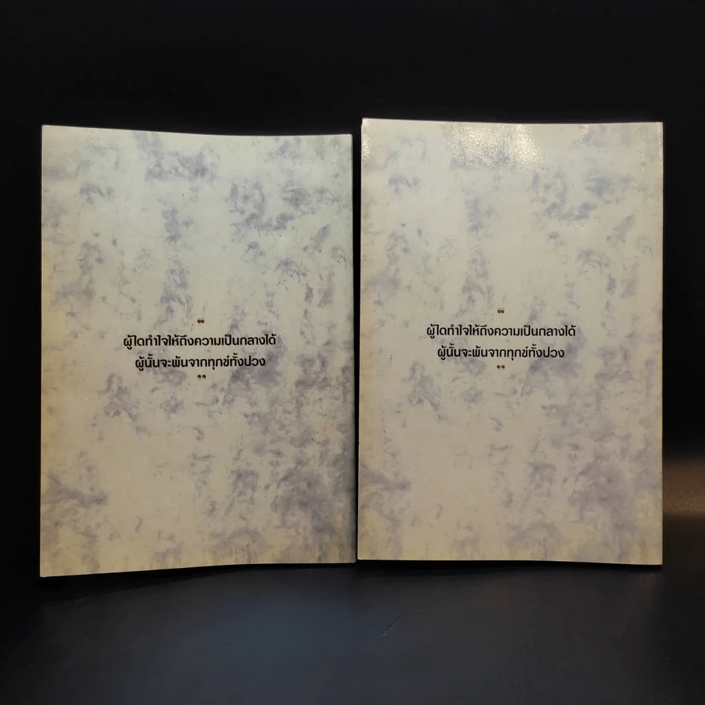 ประมวลแนวปฏิบัติธรรม พระราชนิโรธรังสี (เทสก์ เทสรังสี) เล่ม 1-2 รูปที่ 14