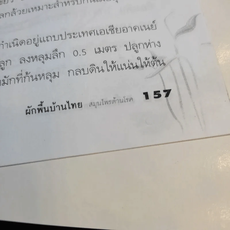 ผักพื้นบ้านไทย สมุนไพรต้านโรค - ชิดชนก รูปที่ 13