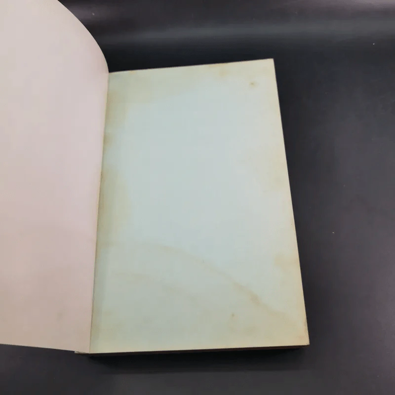 The Unwritten Rules of the Game กฎแอบแฝง ; ตัวทำลายองค์กร - Peter Scott-Morgan รูปที่ 7