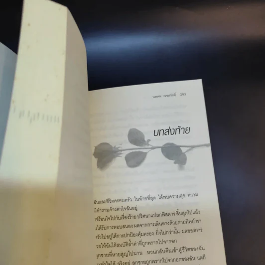 กลับชาติมาเกิด - สเตลลา เอ็ม. เทรเวซ รูปที่ 12